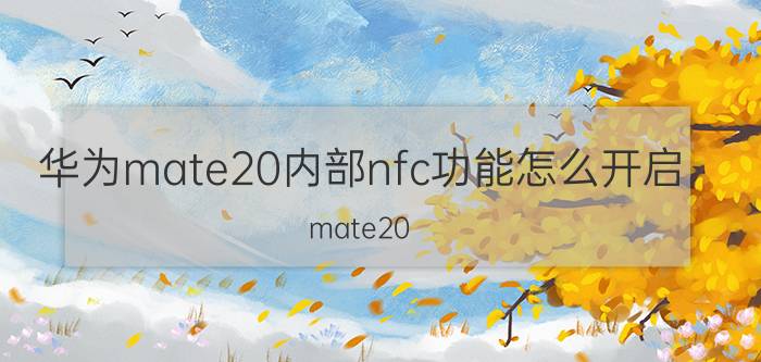 华为mate20内部nfc功能怎么开启 mate20 pro如何模拟门禁卡？